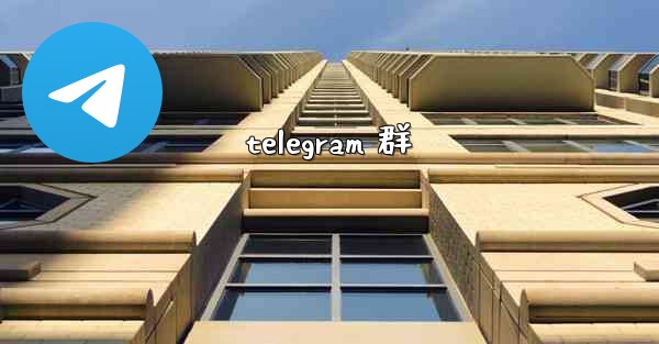 <b>telegram 群</b>