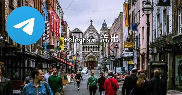 <b>telegram 流出</b>