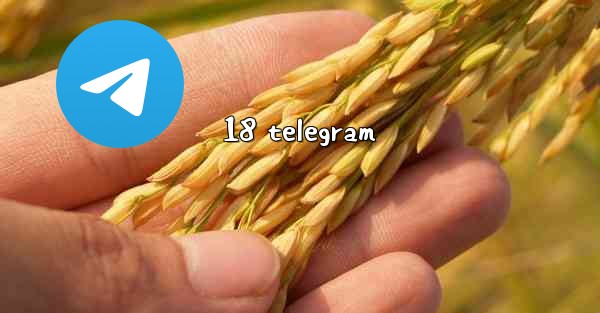 18 telegram