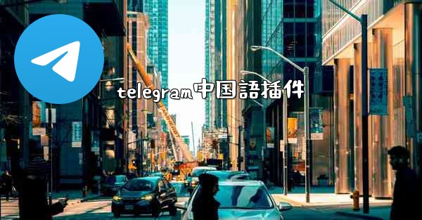 telegram中国語插件