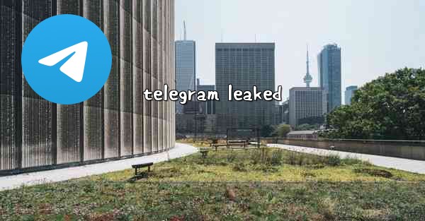 telegram leaked