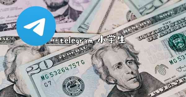 telegram 小学生