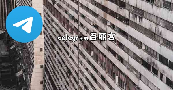 telegram百丽宫
