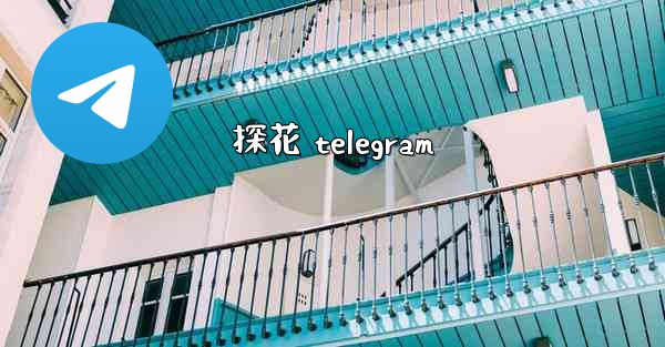 探花 telegram