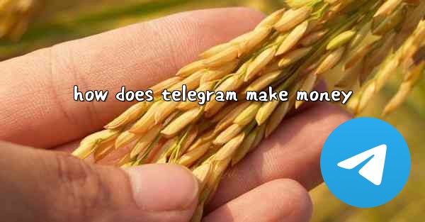 how does telegram make money
