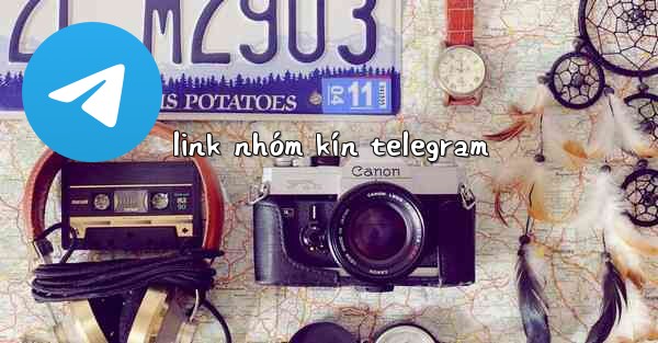link nhóm kín telegram