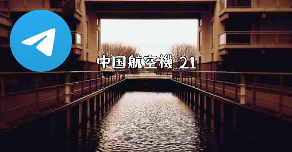 中国航空機 21