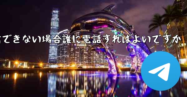 Paper Plane が確認テキスト メッセージを受信できない場合誰に電話すればよいですか