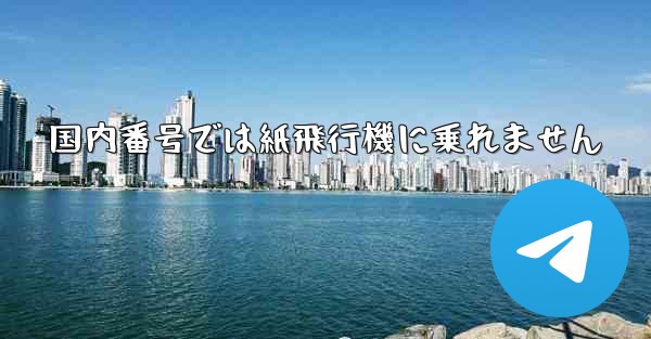 国内番号では紙飛行機に乗れません