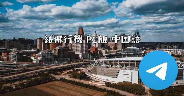紙飛行機 PC版 中国語
