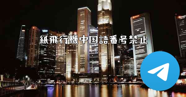 紙飛行機中国語番号禁止