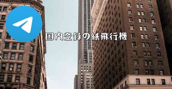 国内登録の紙飛行機