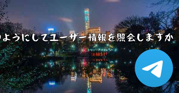 <b>Paper Plane はどのようにしてユーザー情報を照会しますか</b>