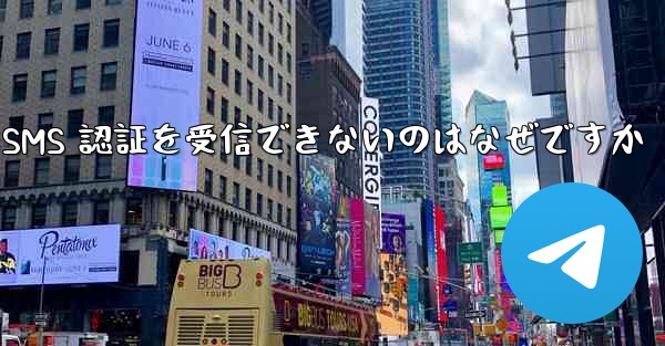Paper Plane が SMS 認証を受信できないのはなぜですか