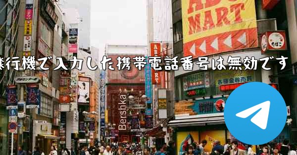 紙飛行機で入力した携帯電話番号は無効です