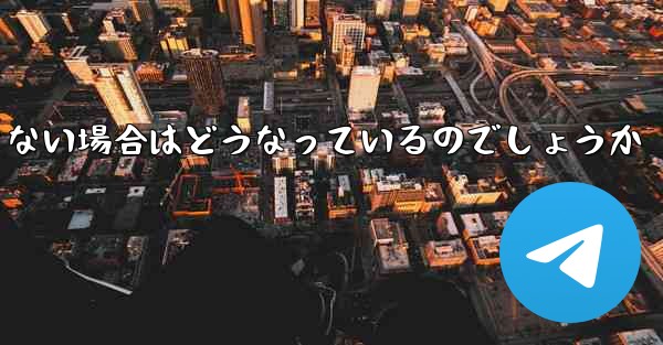 Paper Plane が SMS 認証コードを受信できない場合はどうなっているのでしょうか