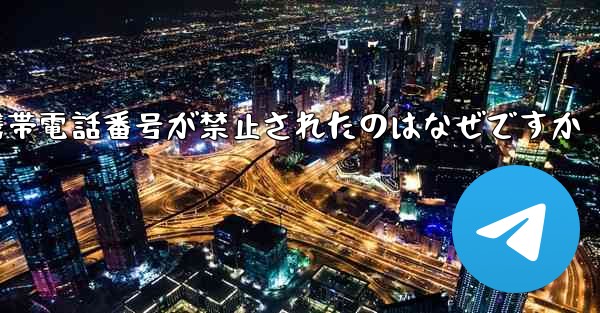 Paper Plane の携帯電話番号が禁止されたのはなぜですか