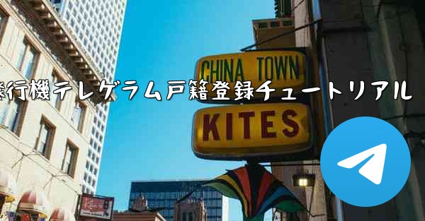 紙飛行機テレゲラム戸籍登録チュートリアル