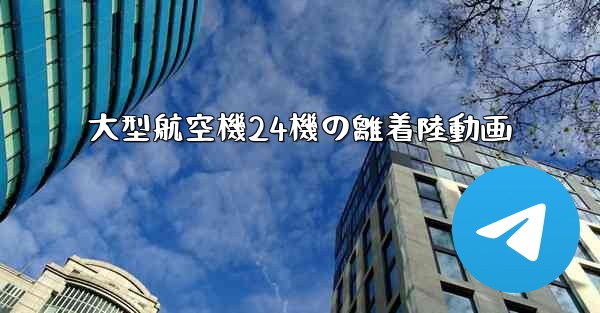 大型航空機24機の離着陸動画