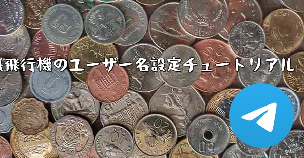 紙飛行機のユーザー名設定チュートリアル