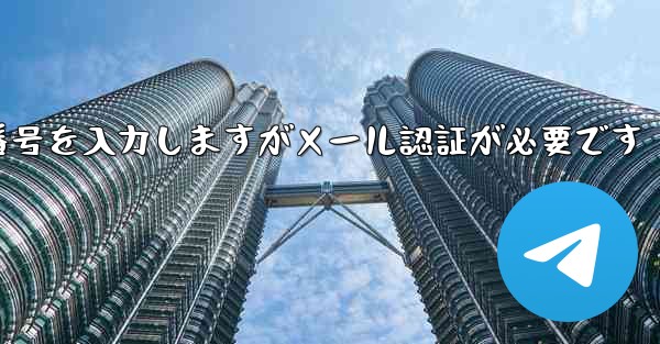 <b>紙飛行機は携帯電話番号を入力しますがメール認証が必要です</b>
