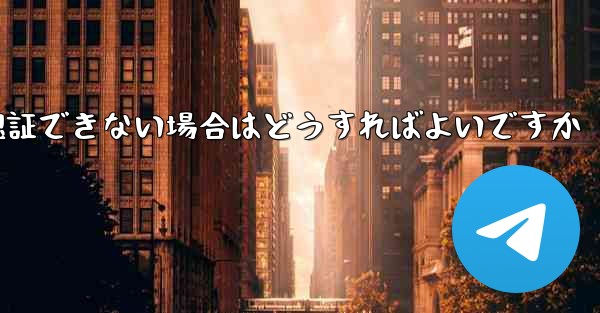 Paper Plane の携帯電話番号が認証できない場合はどうすればよいですか