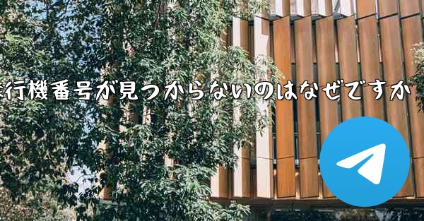 飛行機番号が見つからないのはなぜですか