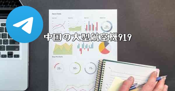<b>中国の大型航空機919</b>