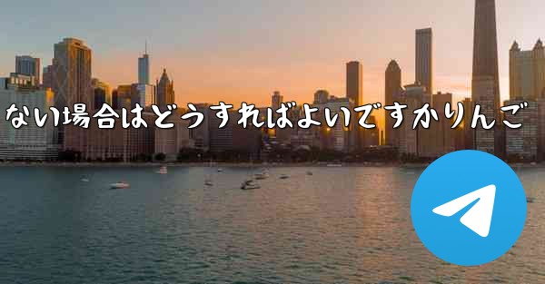 飛行機内で認証コードを受信できない場合はどうすればよいですかりんご