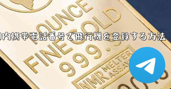 国内携帯電話番号で飛行機を登録する方法