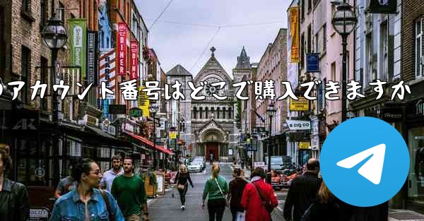 <b>紙飛行機のアカウント番号はどこで購入できますか</b>