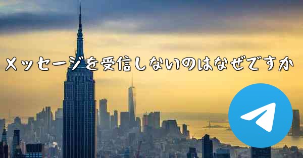 Paper Plane が確認テキスト メッセージを受信しないのはなぜですか