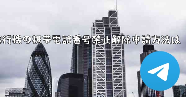 紙飛行機の携帯電話番号禁止解除申請方法は
