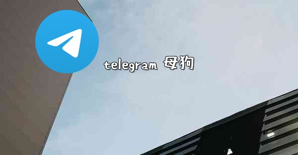 telegram 母狗
