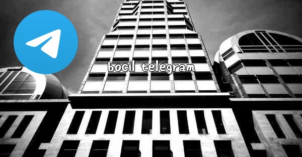 bocil telegram