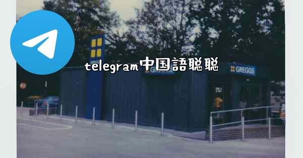 telegram中国語聪聪