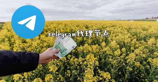 telegram代理节点