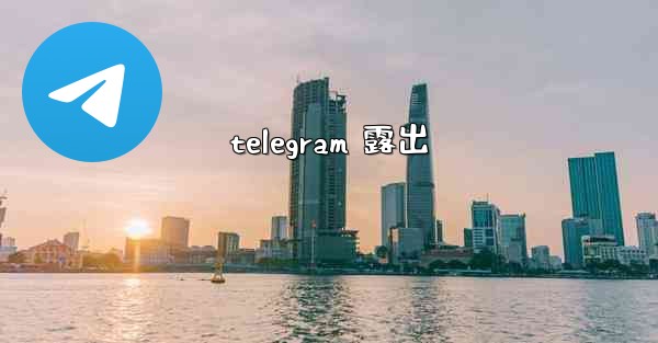 <b>telegram 露出</b>