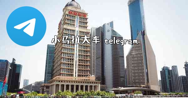 小马拉大车 telegram