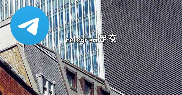 telegram足交