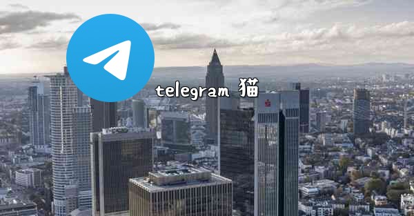 telegram 猫