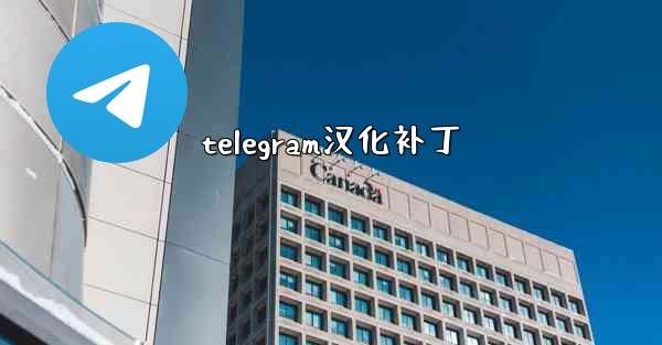 telegram汉化补丁