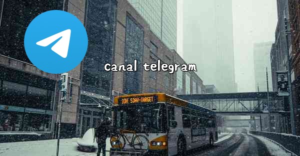 <b>canal telegram</b>