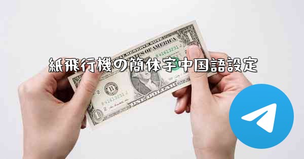 紙飛行機の簡体字中国語設定