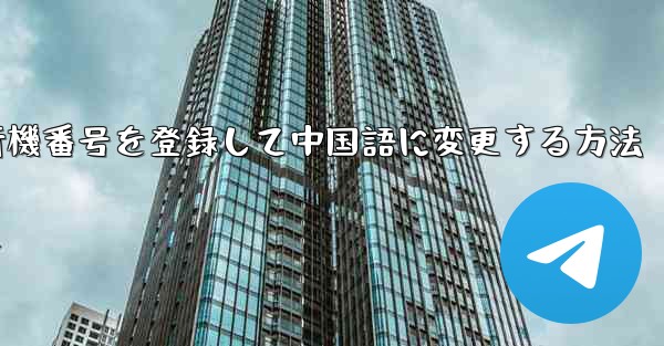 飛行機番号を登録して中国語に変更する方法