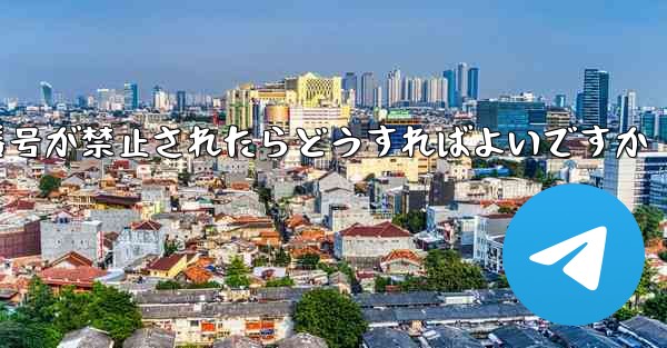 私の紙飛行機の携帯電話番号が禁止されたらどうすればよいですか