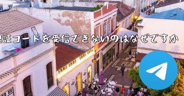 Paper Plane が認証コードを受信できないのはなぜですか