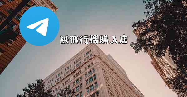 紙飛行機購入店