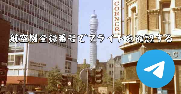 航空機登録番号でフライトを確認する