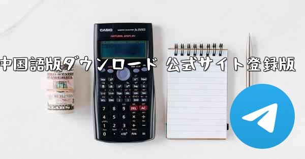 Paper Plane 中国語版ダウンロード 公式サイト登録版